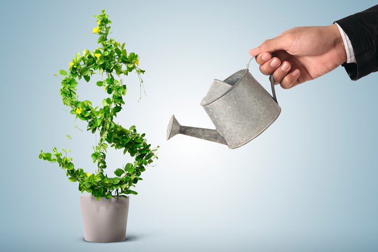 investimento